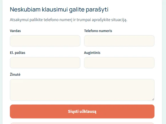 Užklausos forma demonstracinėje svetainėje