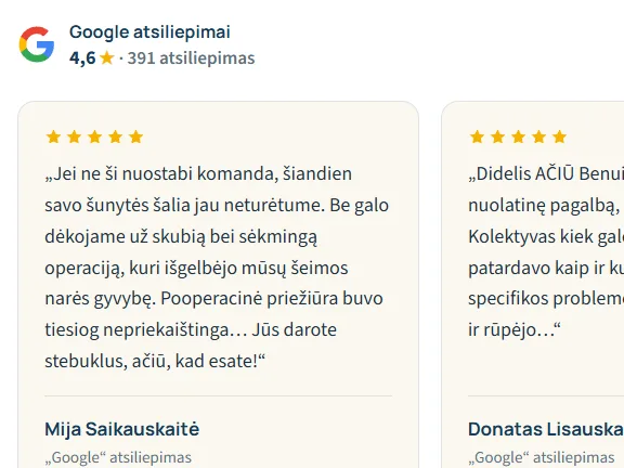 Atsiliepimų skiltis demonstracinėje svetainėje