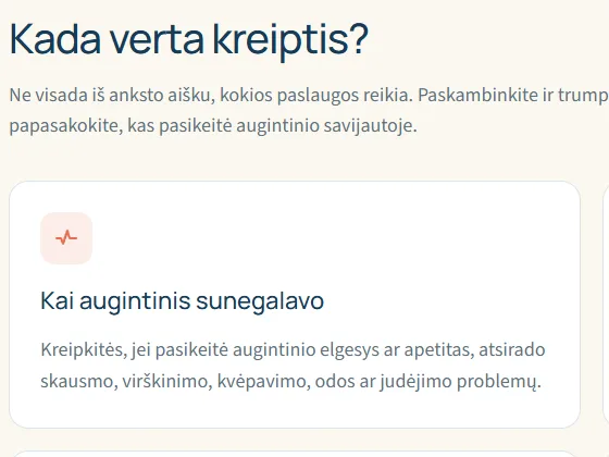 Paslaugų skiltis demonstracinėje svetainėje